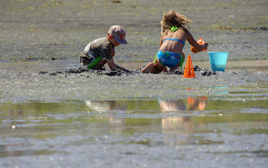 What’s Your Travel Type